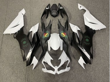 Happy Face 2019-2020 Kawasaki ZX6R Fairings Factory